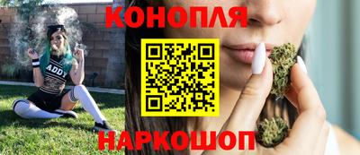прущие грибы Малгобек