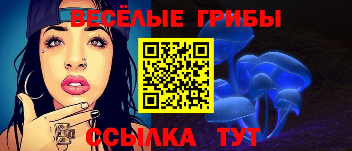 Энгельс  где найти наркотики  Вход с VPN  Галлюциногенные грибы мицелий 